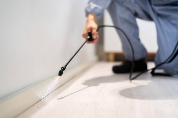Licensed Termite Control service in Jessup, PA - Nex Pest Control