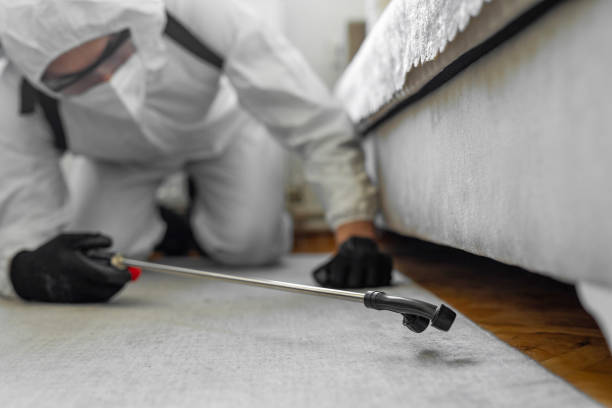 Professional Termite Control technician working in Jessup, PA