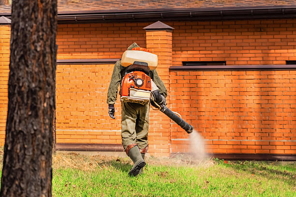 Top rated local Termite Control specialists in Jessup, PA